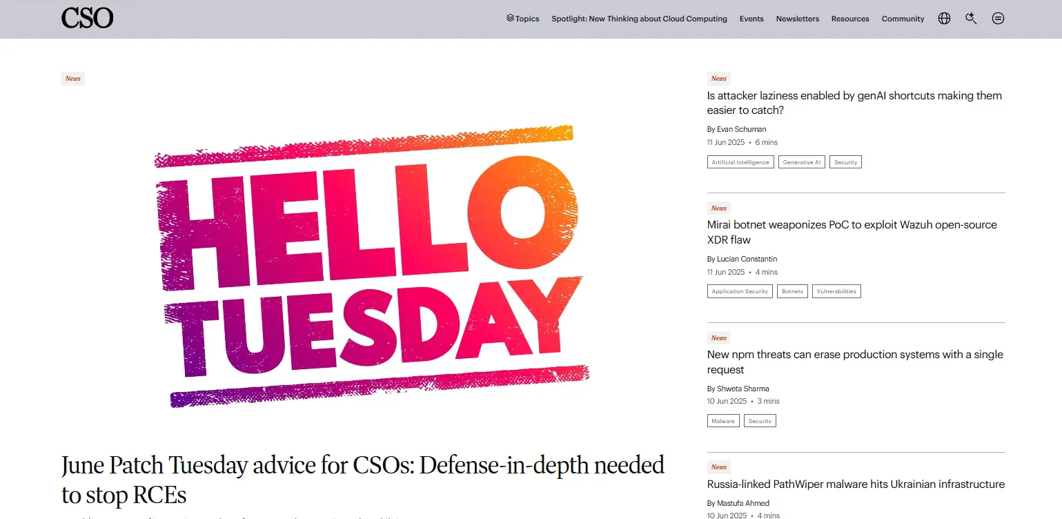 The Screenshot of CSO website.